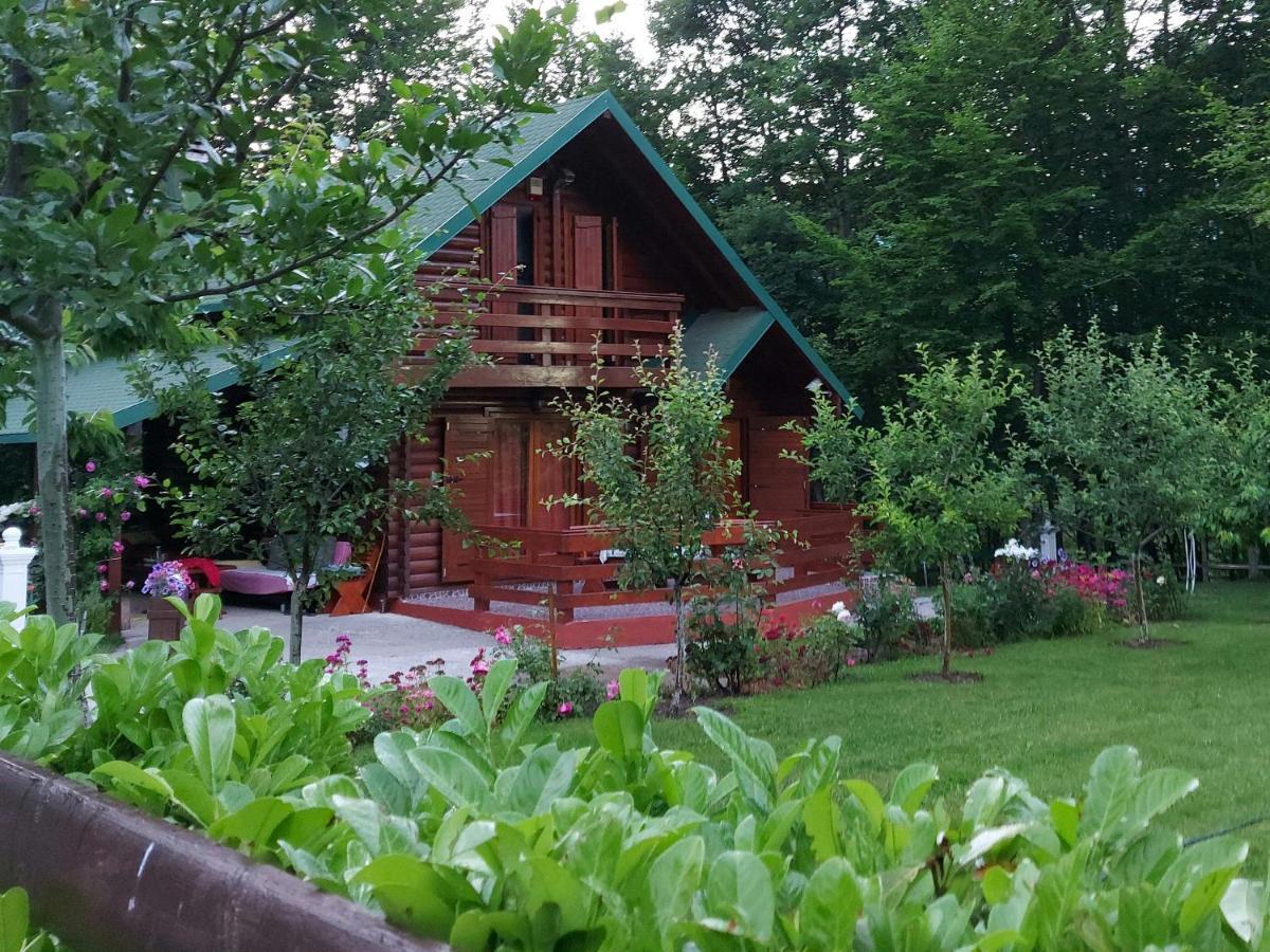 Vila Vikendica Crkvina Kolašin Exteriér fotografie