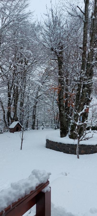 Vila Vikendica Crkvina Kolašin Exteriér fotografie