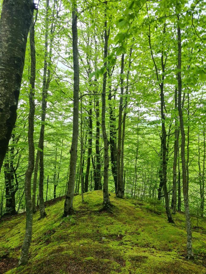 Vila Vikendica Crkvina Kolašin Exteriér fotografie