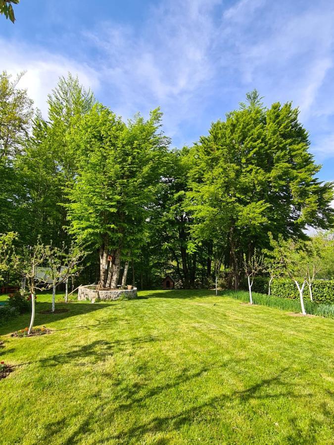 Vila Vikendica Crkvina Kolašin Exteriér fotografie