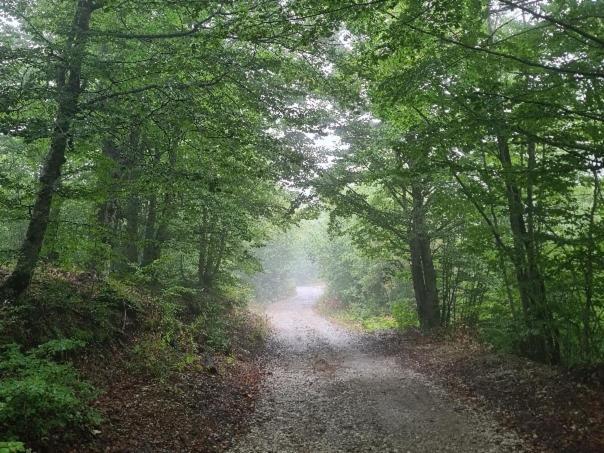 Vila Vikendica Crkvina Kolašin Exteriér fotografie